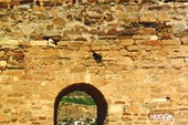 Генуэзская крепость, 1371—1469